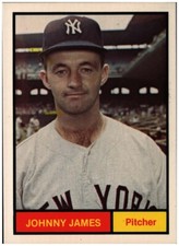 1982 Renata Galasso  Johnny James #31 1961 World Champion New York Yankees