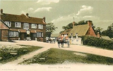 C-1910 Minstead UK New Forest Hampshire Postcard Horse buggy Stuart 24-11524