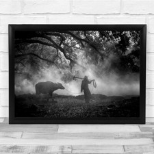 Animal Farming Fog Mist Haze Dust Smoke Ox Wall Art Print