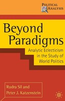 Beyond Paradigms | Analytic Eclecticism In The Study Of World Politics | Buch