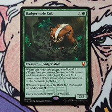 MTG Avatar TLA Badgermole Cub 0167 Uncommon Green EN 2/2
