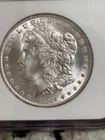 1884-O Morgan Dollar - Great Montana Collection -NGC MS64
