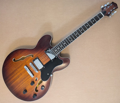 EART 335 Semi Hollow Body E-Gitarre