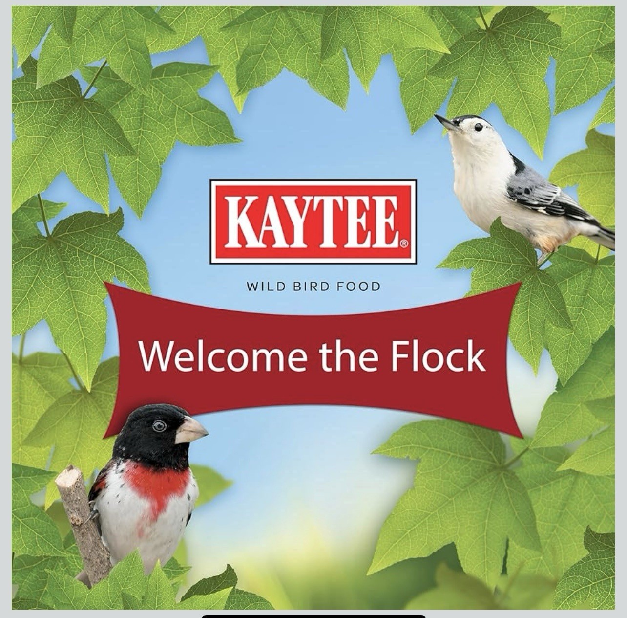 Kaytee All American, Wild Bird Food, Seed Blend 5, Pound Nutrients New Fresh