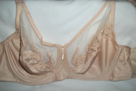 Wacoal 85121 Beige Nude Feather Sheer Embroidery Underwire Bra size 34D