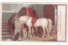 Reward of Merit Horse Dogs Landseer's Waiting for Master Vict Card c1880s