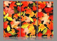 colore - 3 QUADRI MODERNI STAMPE  QUADRO ARREDAMENTO