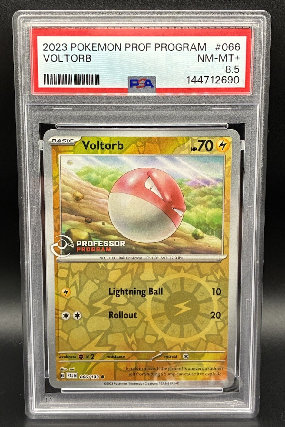 Professor Program Voltorb 066/193 Paldean Evolved PSA 8.5 Pokemon TCG 