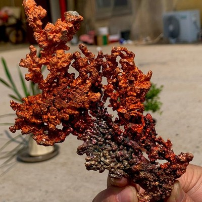 257G Rare!!! iridescent Native Copper crystal mineral specimen