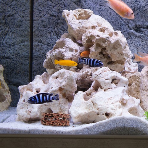 Floating Aquarium Hide Resin Ornaments Shrimp House Tree Cave Reptile - Picture 11 of 12