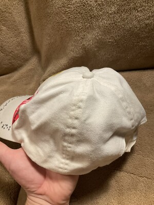 Cakeworthy ディズニーチャンネル ハンナモンタナ キャップ Cakeworthy ディズニーチャンネル ハンナモンタナ キャップ