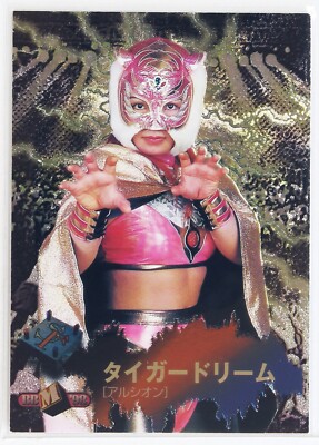 TIGER DREAM - 1998 BBM Pro-Wrestling Trading Holo Card | eBay