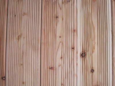 40+ Douglasie Lärche Vergleich, Bei der douglasie sind die äste