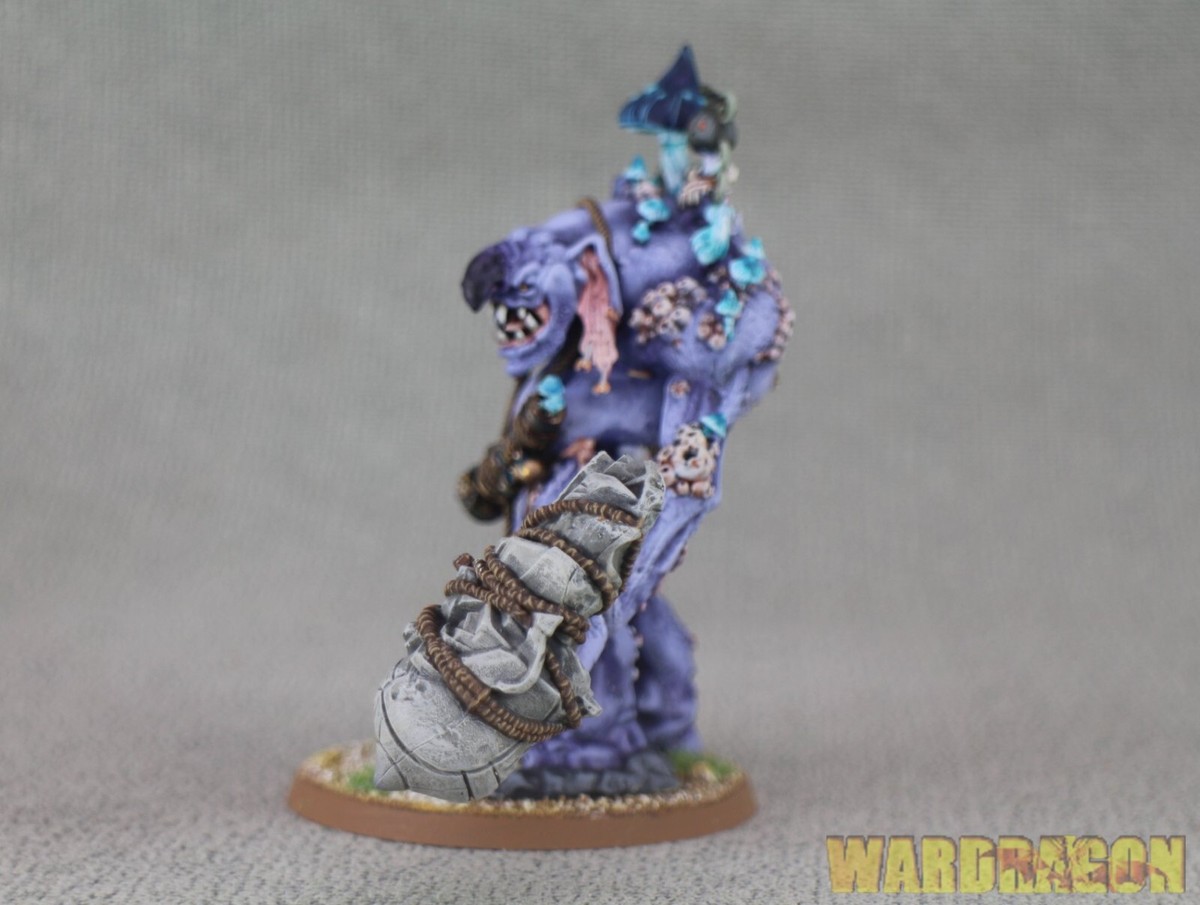 60mm Warhammer Age Of Sigmar WDS painted Gloomspite Gitz Dankhold