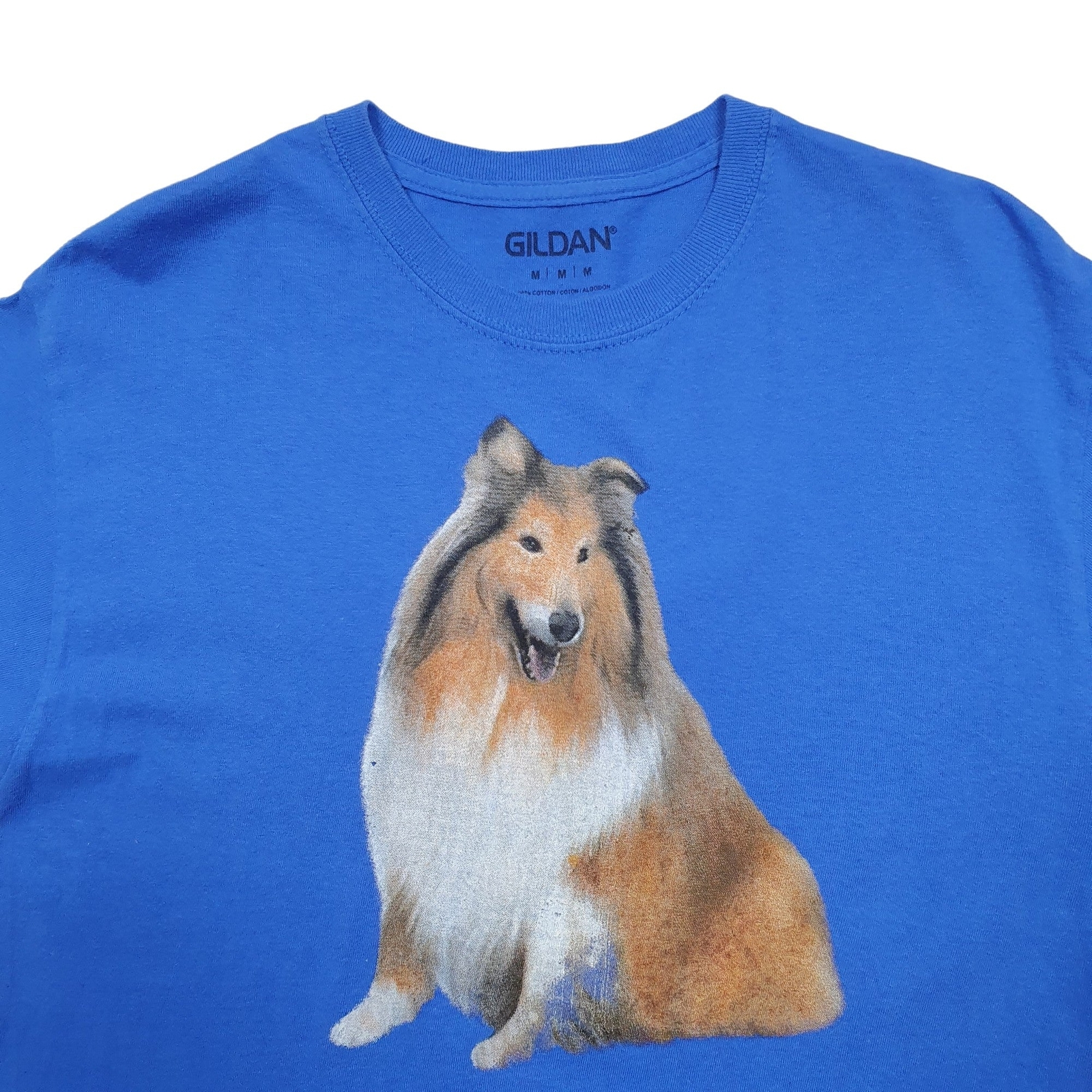 GILDAN Blue T Shirt Tee Lassie Short Sleeve Cotton Mens M image 3