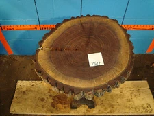 #7617 black walnut log slice wedding center piece rustic live edge  