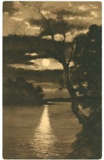 Full Moon Moonlight Shining Through The River In A Dark Night Postcard