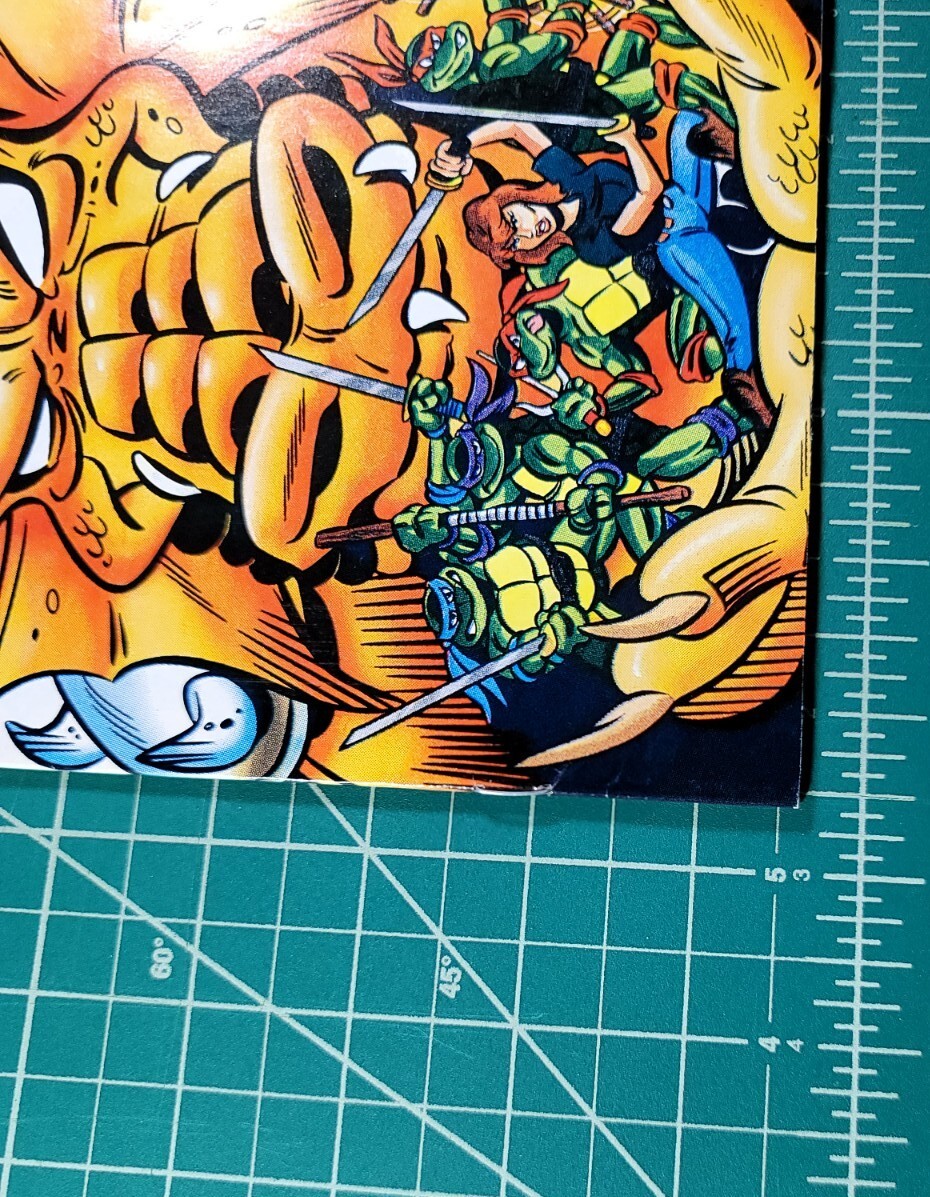 Teenage Mutant Ninja Turtles Adventures #28 (1992) 1st Ninjara