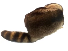 Handmade Artisan Crafted Raccoon Skin Hat One Of A Kind Holiday Gift Well Made