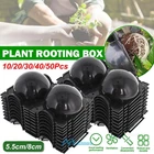 10/20/50PCS Plant Rooting Device Grow Graft Box High Pressure Propagation Ball