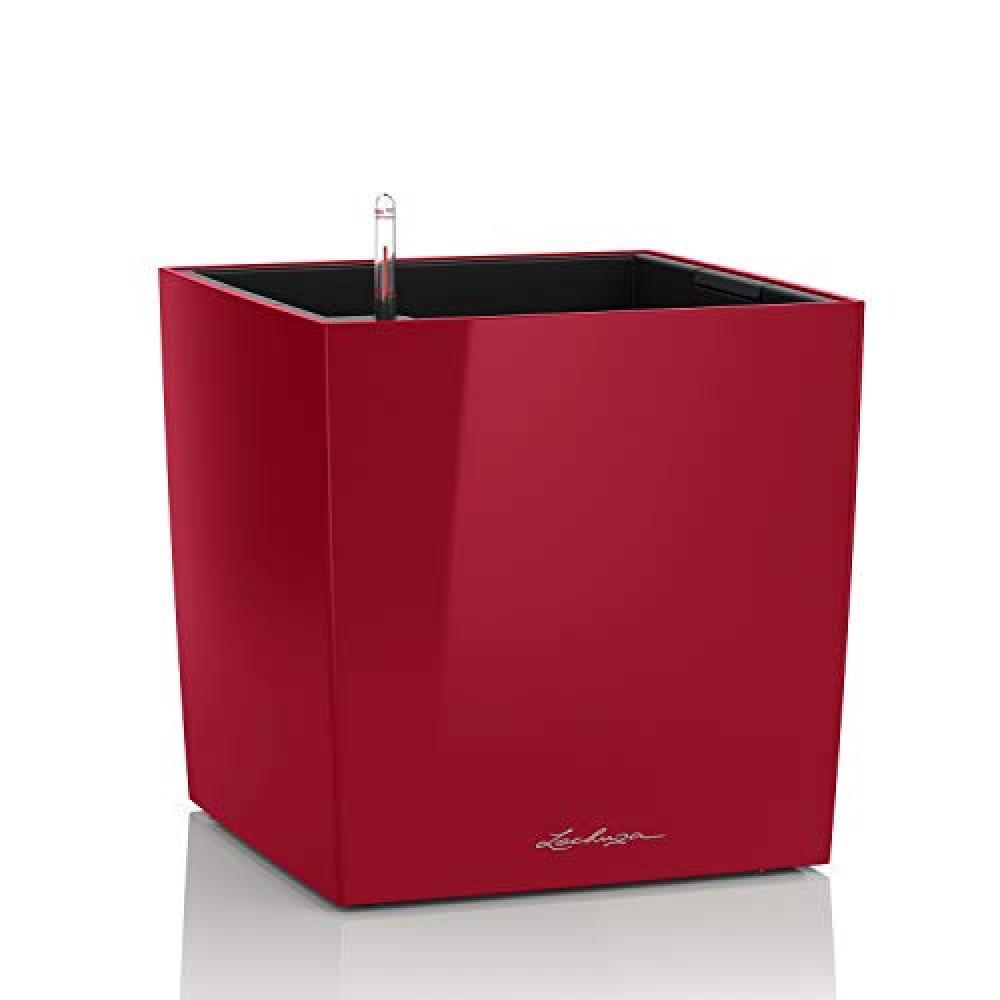 (TG. 30x30x30 cm) Lechuza Cubico Premium 30 -, plastica, Scarlet Red Glossy, 30x