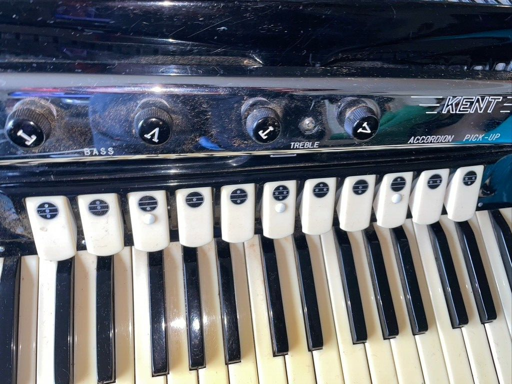 Accordion Italian Titano Cosmopolitan Professional Model eBay