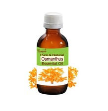 Osmanthus Pure Natural Essential Oil Osmanthu...