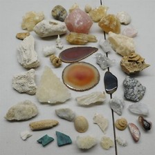 Rock, Crystal, Mineral & Fossil Collection from a Local Estate Auction One Price