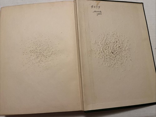 The Moth Book By W J Holland 1922 - Picture 13 of 16