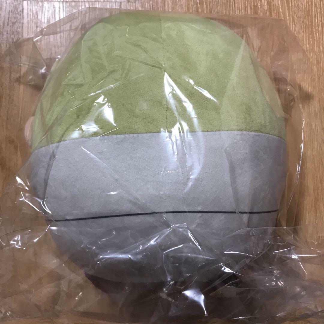 kawakamiさん専用 ブルーブッシュ/ 735 園芸ネット本店｜アカシア：ブルーブッシュ7号鉢植え の通販【公式】