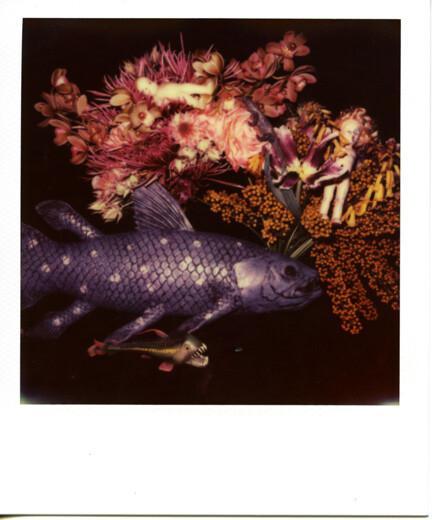 Nobuyoshi Araki Untitled 03 Polaroid Original Contemporary Art Fedex - Main Image