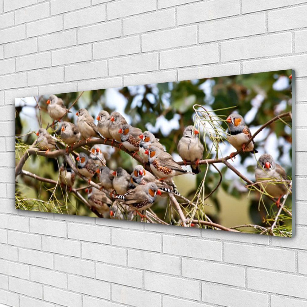 Tableau en verre oiseaux Tulup 125x50 pour un salon nature et lumineux