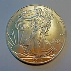 2013 US American Eagle Liberty 1oz Ounce Silver 999 Fine Silver Coin