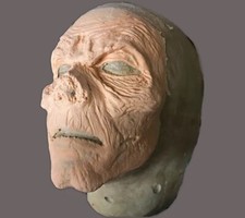 ZOMBIE: Foam Latex Special Effects Prosthetic Makeup Appliance