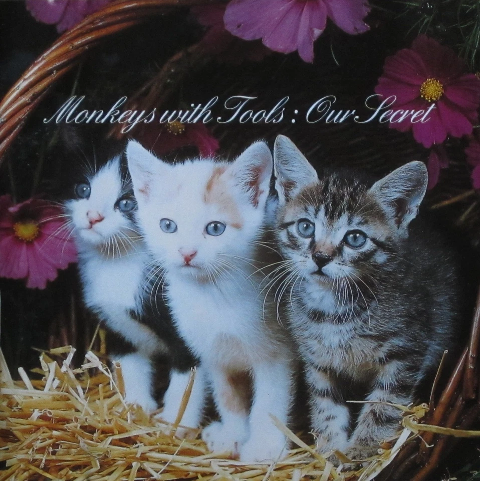 Monkeys With Tools - Our Secret | CD