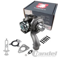JP Group Turbolader +Dichtungssatz Passend FüR Renault Avantime Espace Laguna VE