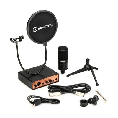 Steinberg, 2 Audio Interface, Copper (UR12B PS)