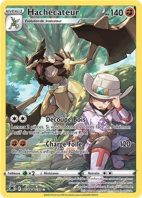 Pokemon Karte Hash TG08/TG30 Trainer Gallery Strahlende Sterne