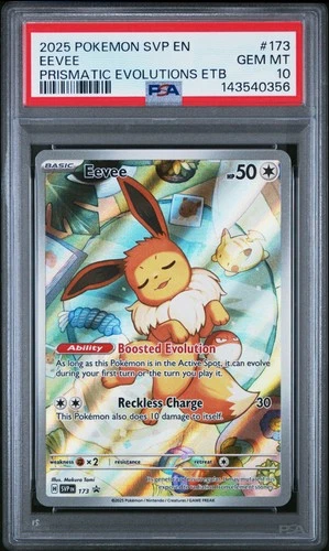2025 POKEMON SVP EN-SV BLACK STAR PROMO #173 EEVEE PSA 10