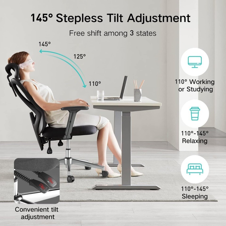 Hbada Ergonomics Office Chair Adjustable Headrests and Lumbar Support