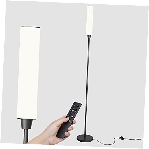 Floor Lamp with Remote Control,Bright Floor Lamps for Living Black