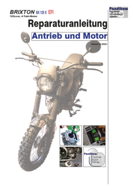 Reparaturanleitung RIS Brixton BX 125 X, EFI, Antrieb und Motor