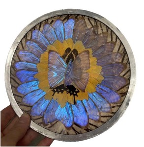 Butterflies Vintage | eBay