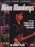 Blow Monkeys - Live From London - Dvd - F600Z