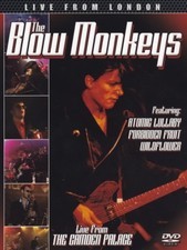 Blow Monkeys - Live From London - Dvd - F600Z-image
