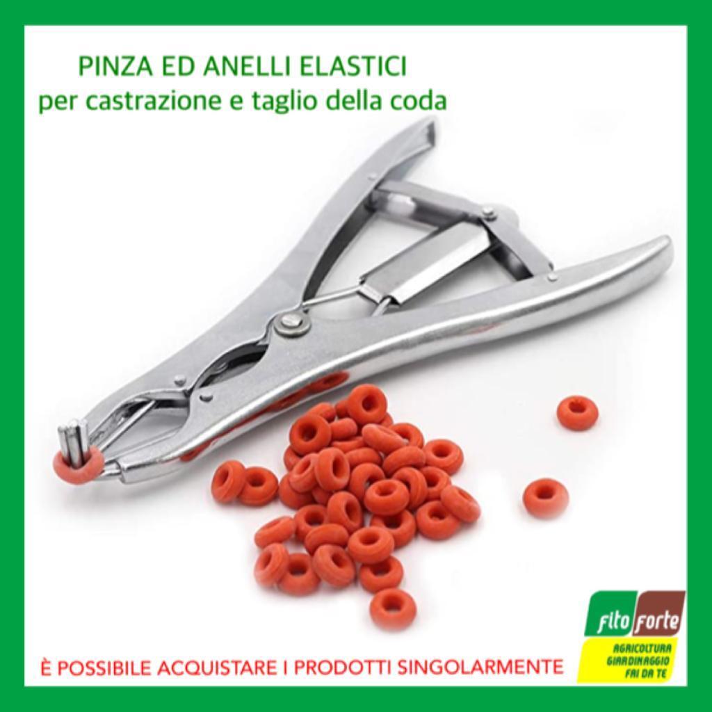 ALPHAFIL: Pezzo applicatore per cemento - DMG
