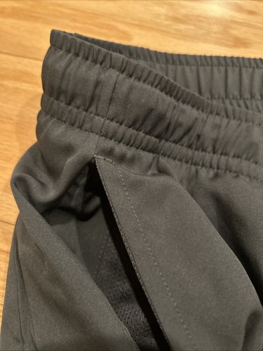 Nike NCAA Illinois Fighting Illini Sz L Woven Pants Team Issue CN5404 NWT Rare - Picture 4 of 7
