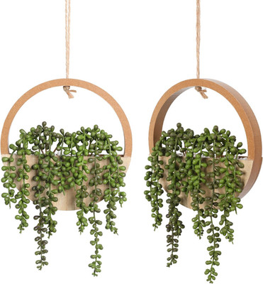 2 Plantas Suculentas Artificiales En Maceta Decoracion Pared Interior Exterior