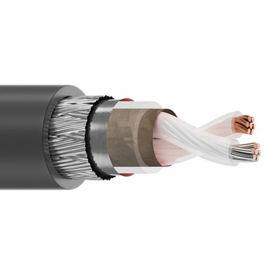 100' Belden 9207 20 AWG 1 Pair Braid Shield Twinax Coaxial Cable 300V