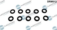 Dr.Motor Automotive Dichtring, DüSenhalter DRM012